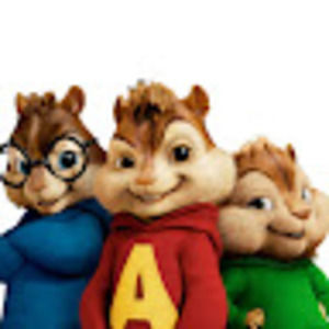 Meet your Posher, Yeti in my